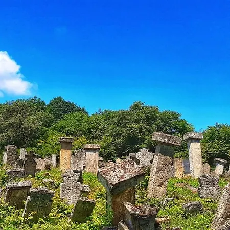 Milenovic Rajacke Pivnice