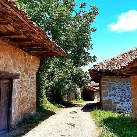 Bed & Breakfast Milenovic Rajacke Pivnice 2*