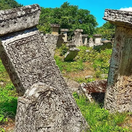 Milenovic Rajacke Pivnice 2* Rajac