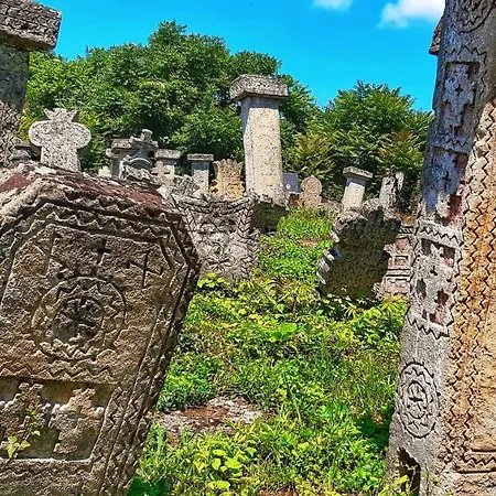 Milenovic Rajacke Pivnice Rajac