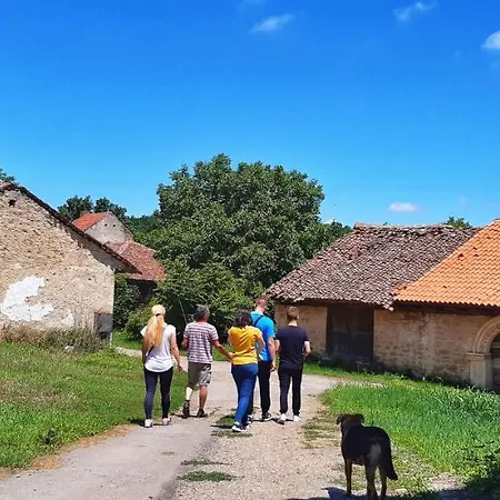 Milenovic Rajacke Pivnice