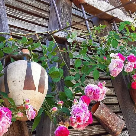 Bed & Breakfast Milenovic Rajacke Pivnice Rajac