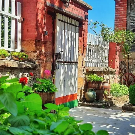 Bed & Breakfast Milenovic Rajacke Pivnice