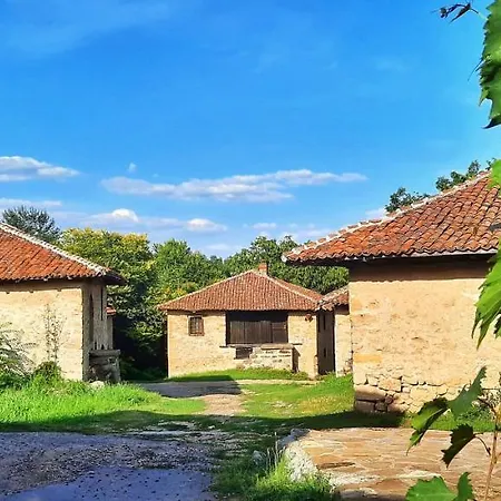 Bed & Breakfast Milenovic Rajacke Pivnice