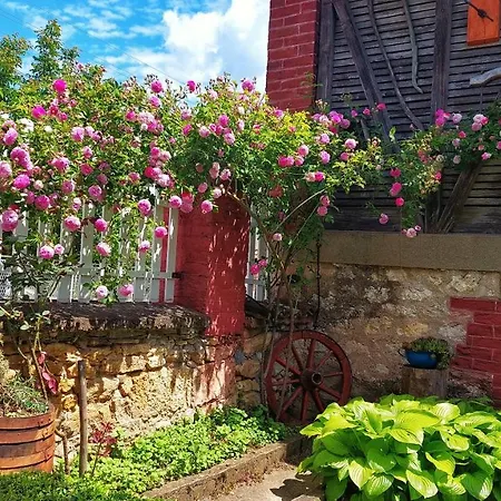 Milenovic Rajacke Pivnice Отель типа 