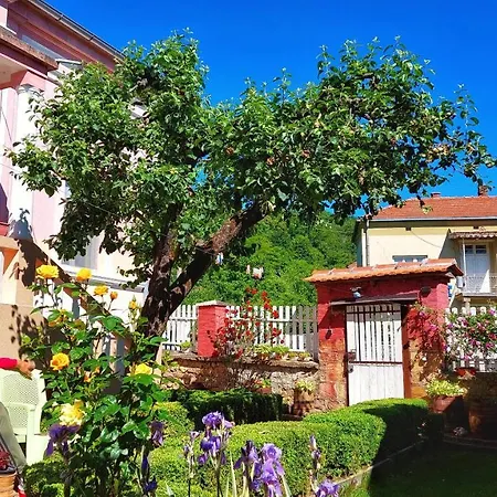 Bed & Breakfast Milenovic Rajacke Pivnice