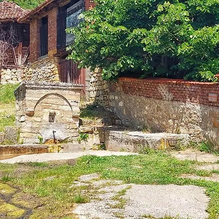 Bed & Breakfast Milenovic Rajacke Pivnice Rajac