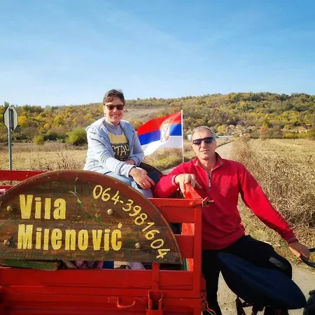 Bed & Breakfast Milenovic Rajacke Pivnice