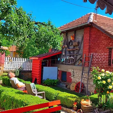 Bed & Breakfast Milenovic Rajacke Pivnice Rajac