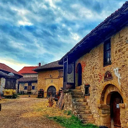 Bed & Breakfast Milenovic Rajacke Pivnice