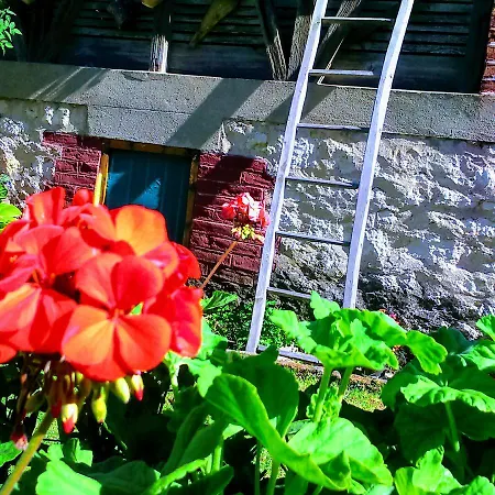 Milenovic Rajacke Pivnice Rajac