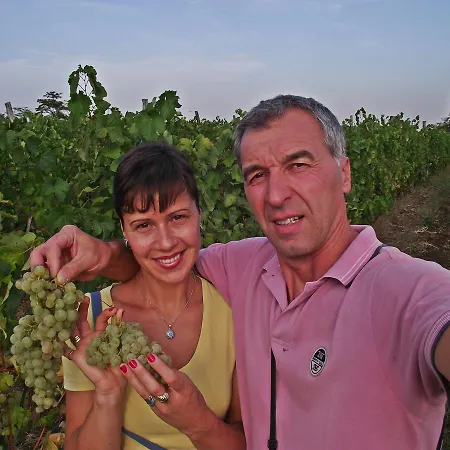 Milenovic Rajacke Pivnice 2*