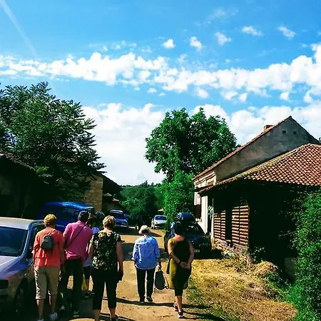 Milenovic Rajacke Pivnice 2* Rajac