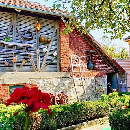 Bed & Breakfast Milenovic Rajacke Pivnice