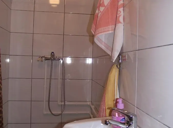 Milenovic Rajacke Pivnice 2*